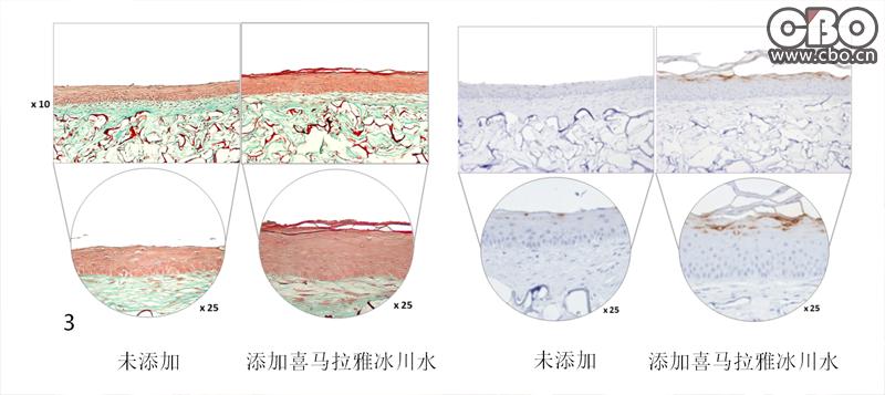 自然堂凝时冰肌水浑浊还是清澈,自然堂年销售