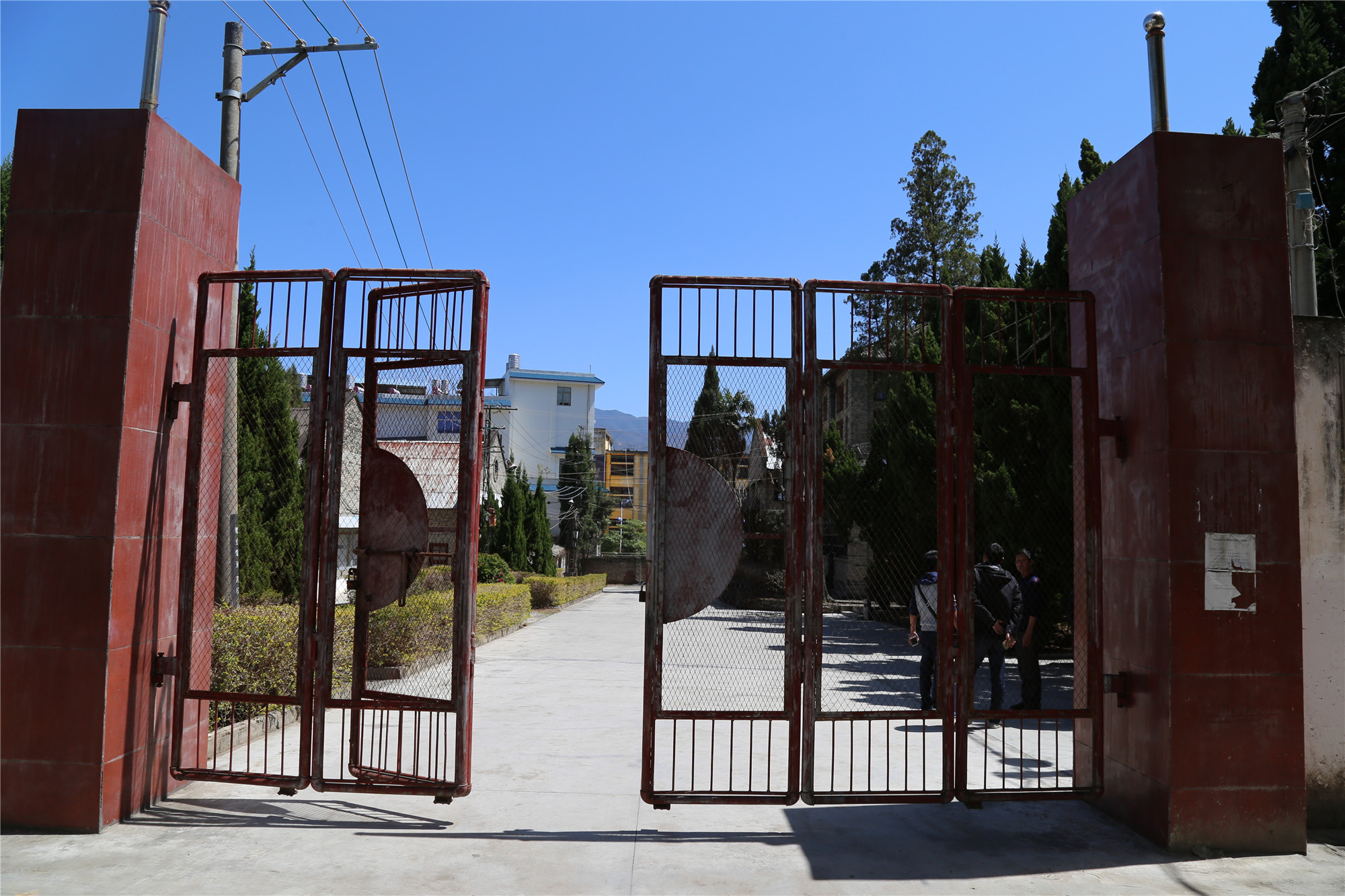 滇红记忆中国名茶,滇红创始人冯绍裘