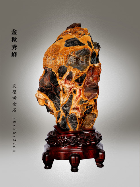 价值1亿以上的灵璧奇石,灵璧石甲天下奇石图片