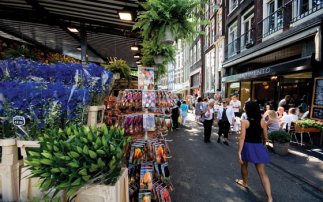 8个荷兰传统标志，第8个只有1%的领队才知道！