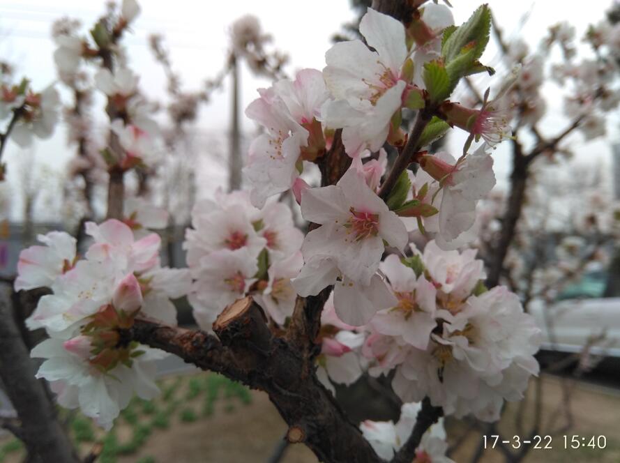 红米note4x缺点及差评,红米note4x高配版到底怎样