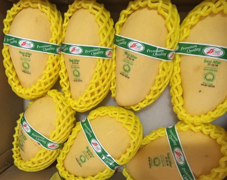 这芒果的味道太惊艳!年销6000万的批发商靠它成上海芒果一姐