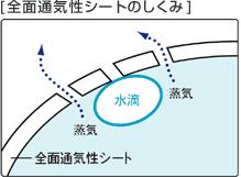 日本花王妙而舒纸尿裤测评,如何判断花王妙而舒是不是正品