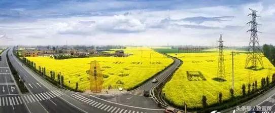 还嫌种粮不赚钱?这款新模式带您分分钟致富!