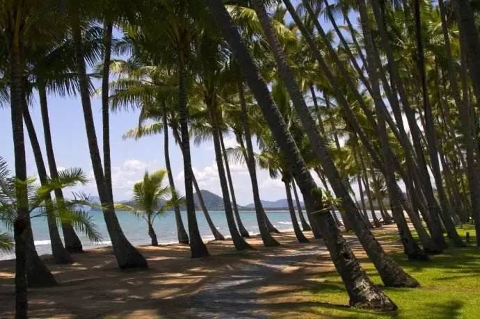 刘强东与奶茶妹妹的婚礼举办地大堡礁到底有多美？自己去看！