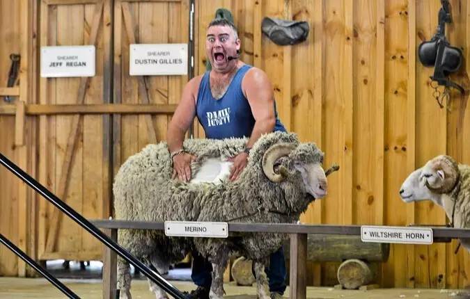 刘强东与奶茶妹妹的婚礼举办地大堡礁到底有多美？自己去看！