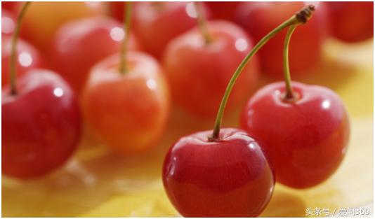 樱桃多种元气吃法,樱桃最佳吃法是什么