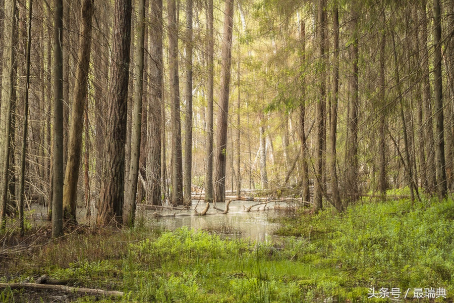 csgo斯德哥尔摩锦标赛,斯德哥尔摩技巧