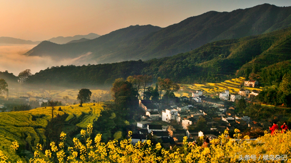 游江西婺源,游婺源全程视频