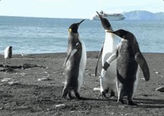 男人惹女生生气的高情商句子,男人故意惹你生气刺激你的表现