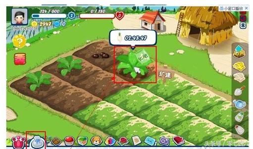 永州现真人开心农场-你还让人偷菜吗?