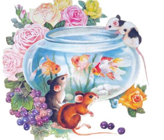 生肖鼠与生肖蛇的爱情运势,生肖狗和生肖鼠财运怎么样