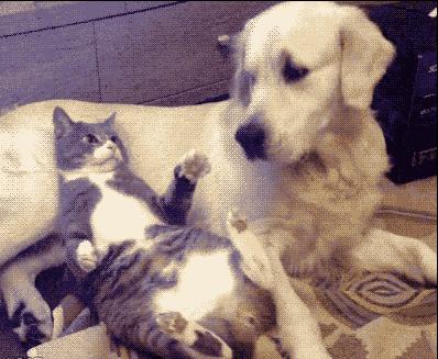 这小伙在沙滩不好好晒太阳,学人射门,射完足球就哭了