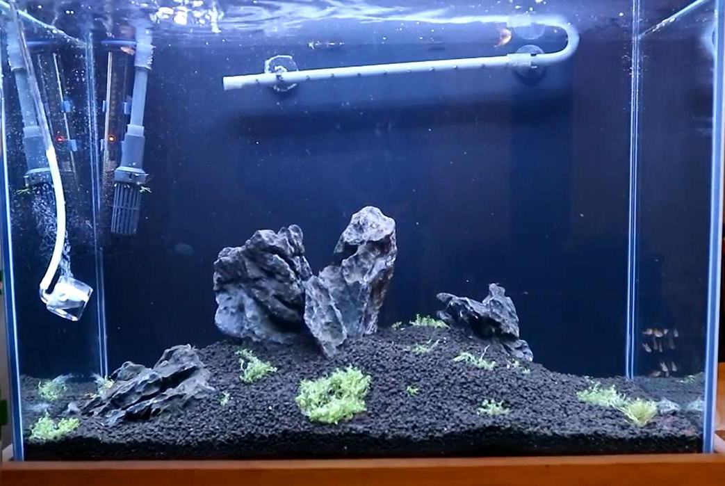 怎么会让水草泥不滑坡,水草泥防止滑坡