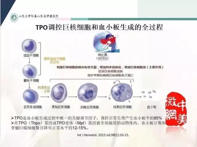 化疗导致血小板减少怎么办,化疗血小板低输血小板能维持多久