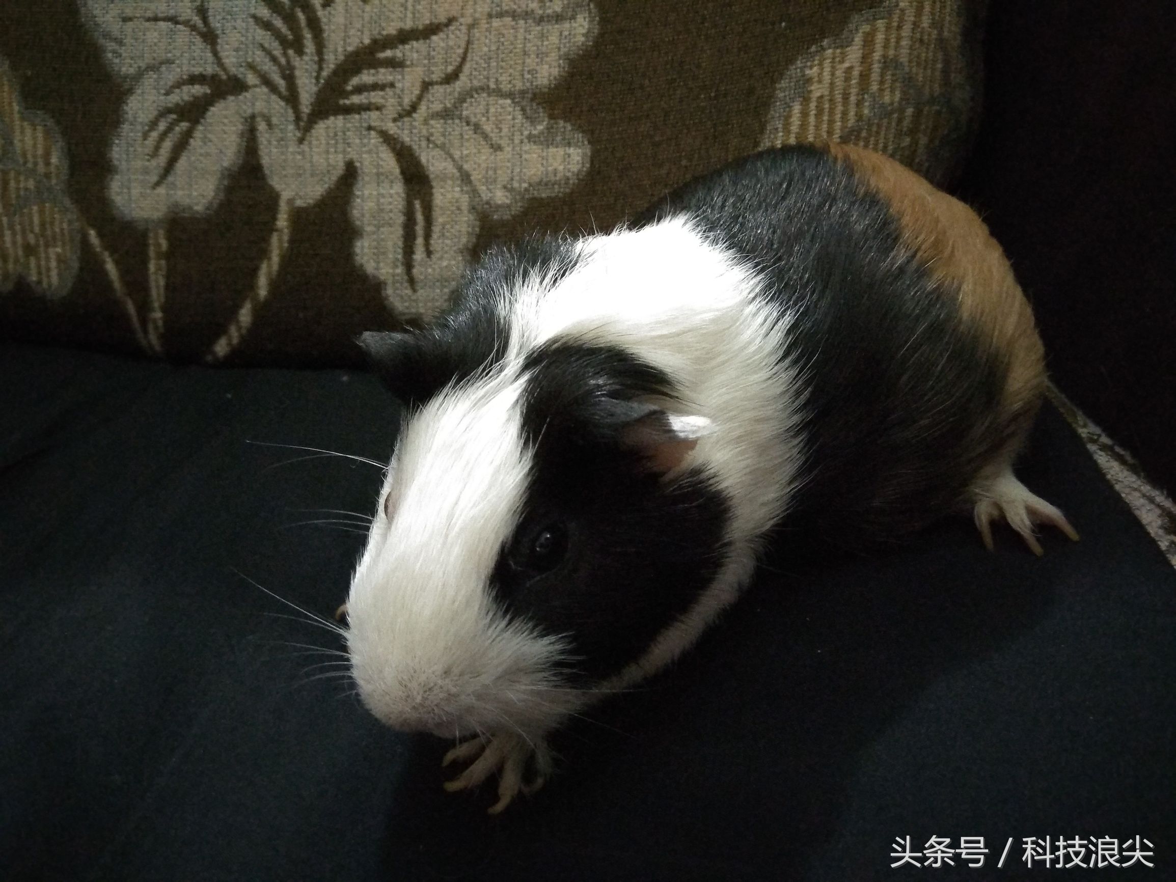 红米note4x评测,红米note4x评测支持电信卡吗