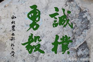 中国各大高校校训及解析,985高校校训里你最喜欢哪个