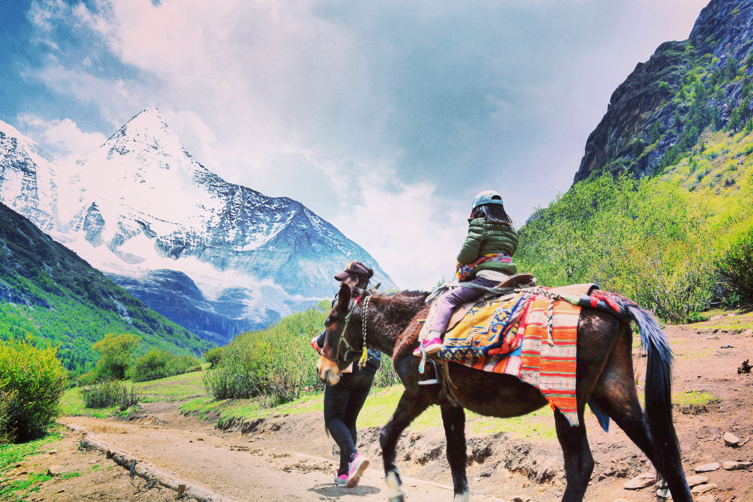 祭奠流逝的青春(五)开始找工作了