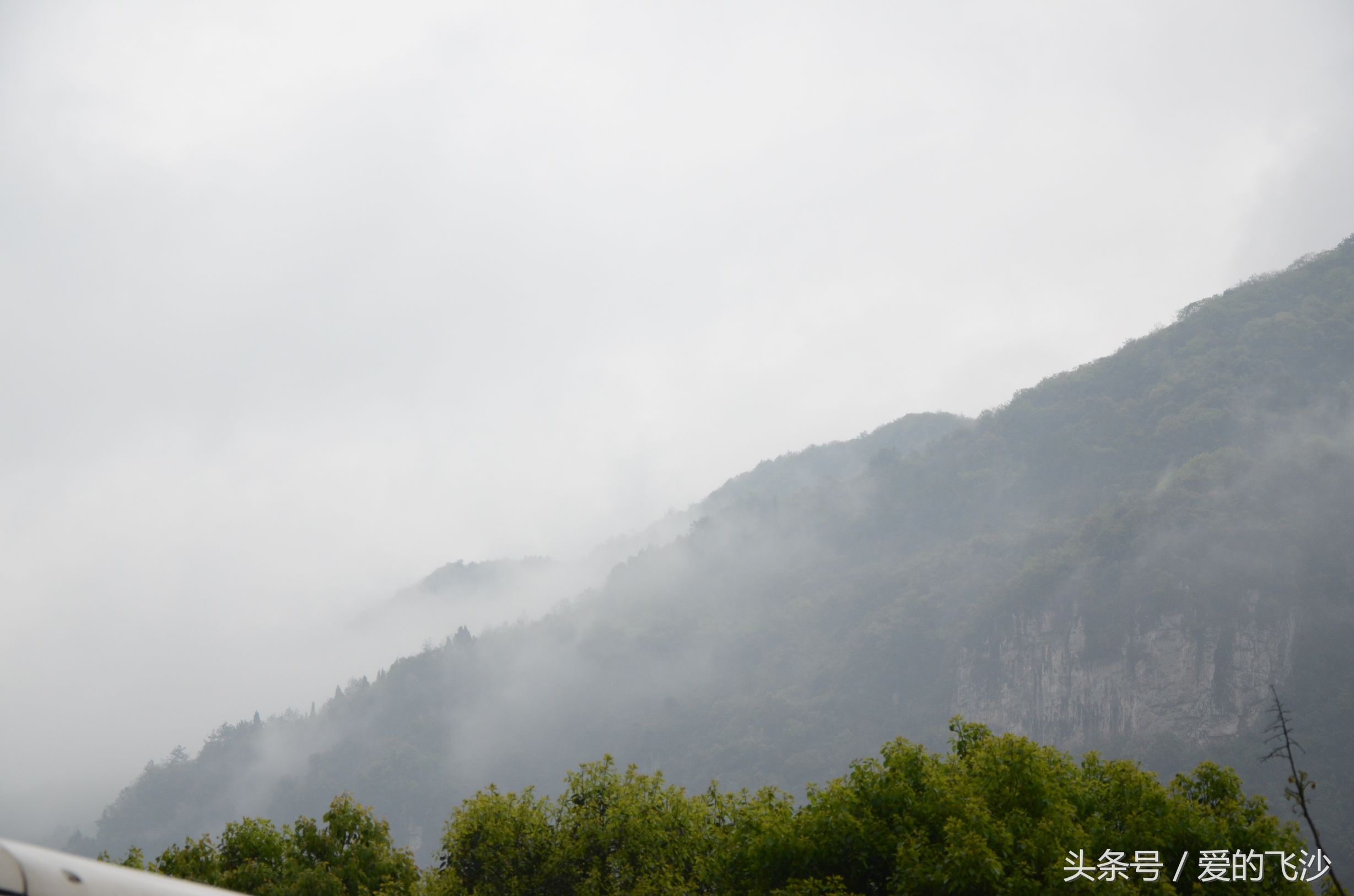 奇迹旅行南极新春之旅起航,奇迹旅行跨年夜