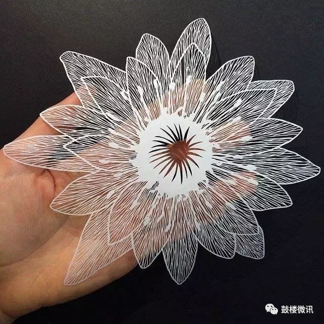 一张白纸也能成为艺术品,艺术一张白纸