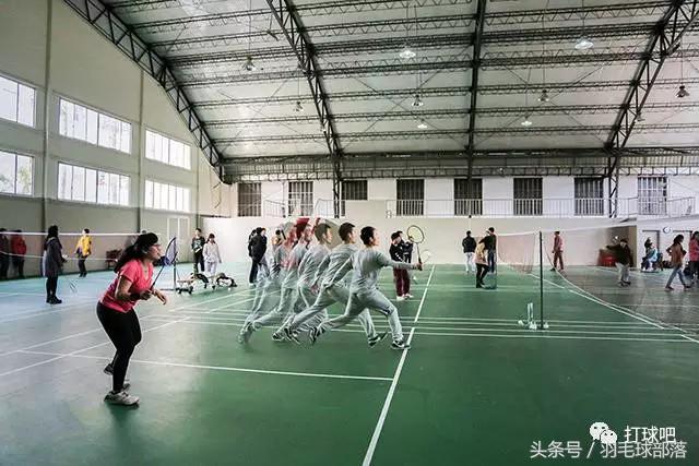 不管你羽毛球打得好不好，这些都是教练想对你说的