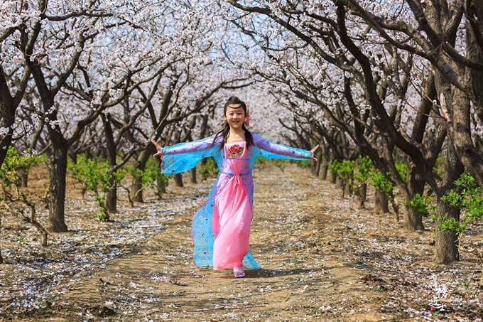 五彩小花童，在杏花从中上演三生三世！
