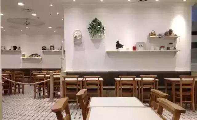 上海小众美食 (上海平价小众美食)