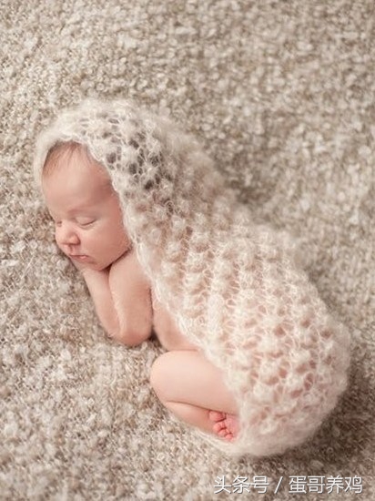 养鸡小鸡怎么管理,养鸡十年