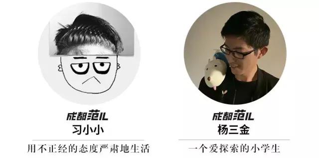 目前成都最普及的共享汽车,成都共享汽车有哪些车型