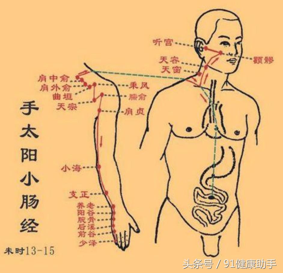 小肠经的保健穴,小肠经各个穴位及功效