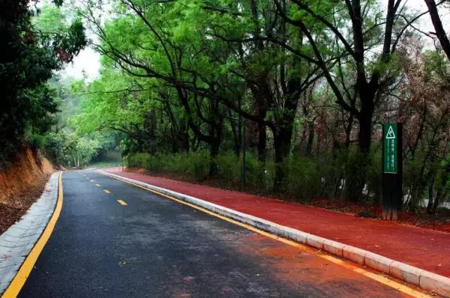 深圳单车爬山攻略推荐,来深圳必游的五大景点