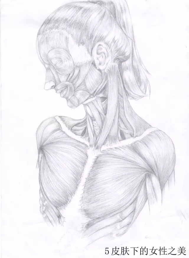 正所谓画骨画皮也画心,画皮画骨还画心