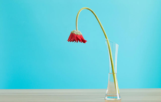 ta为什么对你越来越冷淡,ta为什么突然不喜欢你