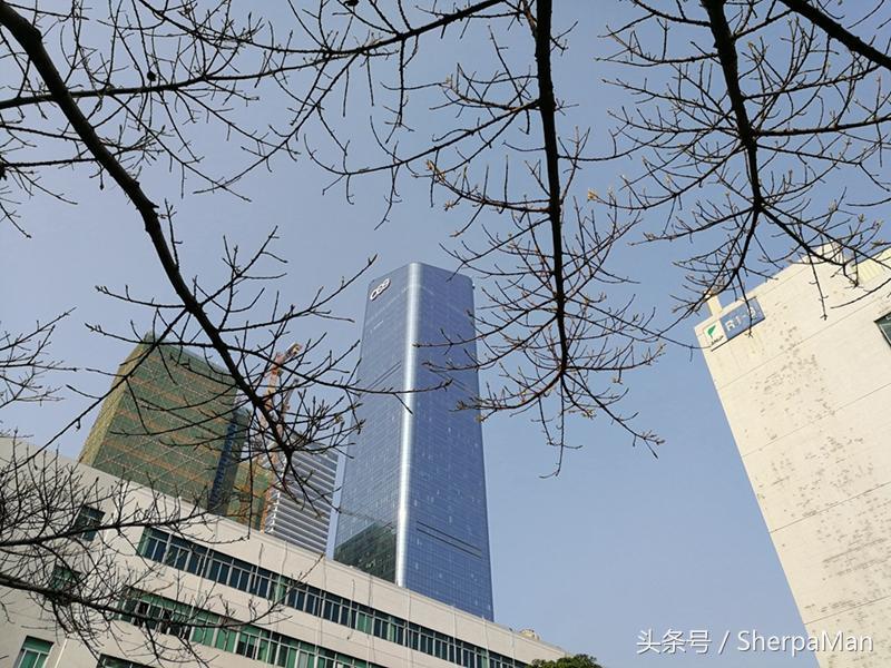 荣耀v9和p10plus哪个性价比高,荣耀v9和p10哪个更好