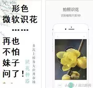 只剩最后几天，还不赶紧赏花！小心后悔一年！