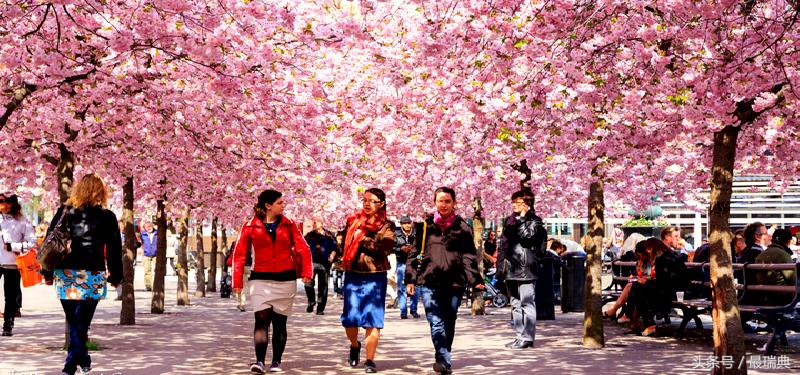 csgo斯德哥尔摩锦标赛,斯德哥尔摩技巧