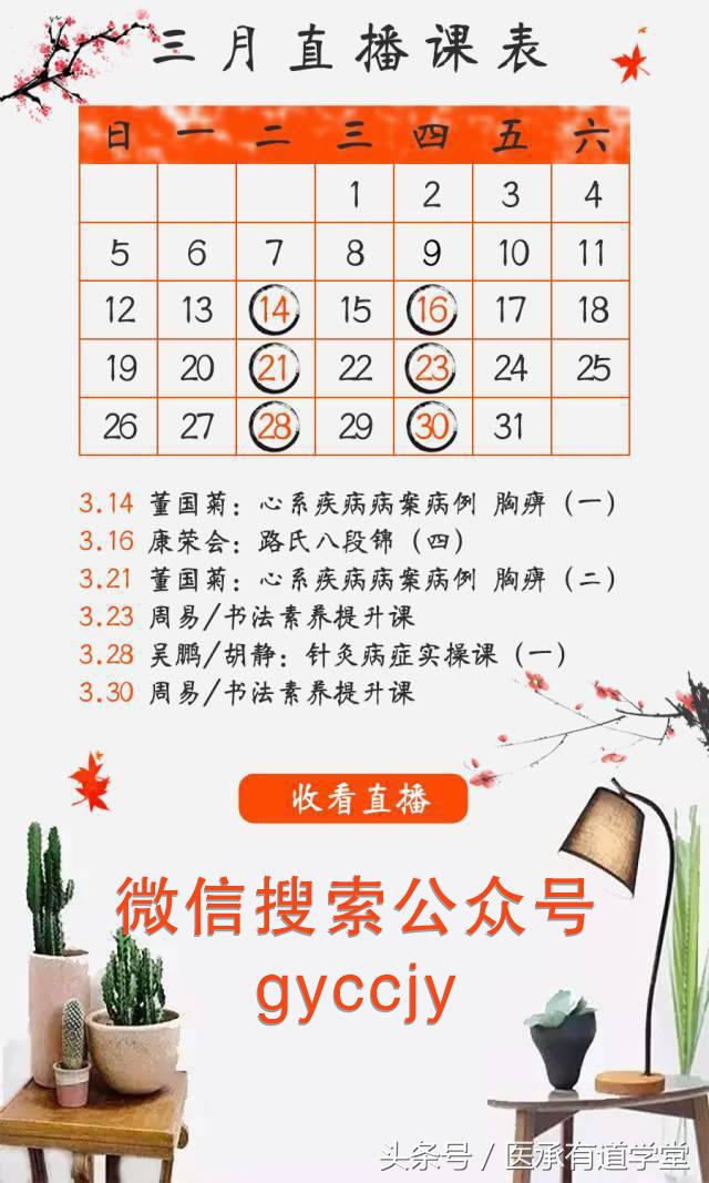 文章赏析（六）：男足都赢了，我的中医梦还会远吗？师承活动