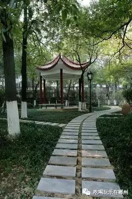 郴州一中全部排名,郴州新一中好吗