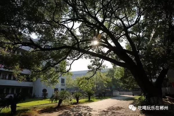 郴州一中全部排名,郴州新一中好吗