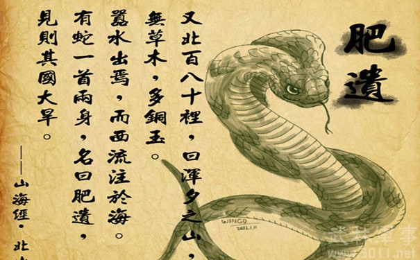 蛇不仅能增长杨过的内力,还能吓死苏东坡的小妾