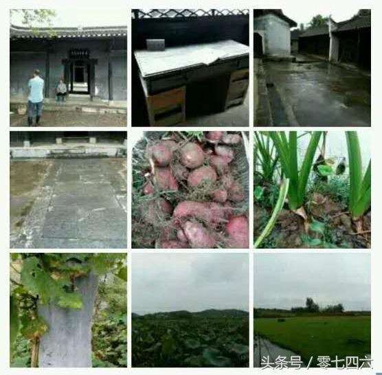 都市丽人回村日记,女白领回乡创业日记