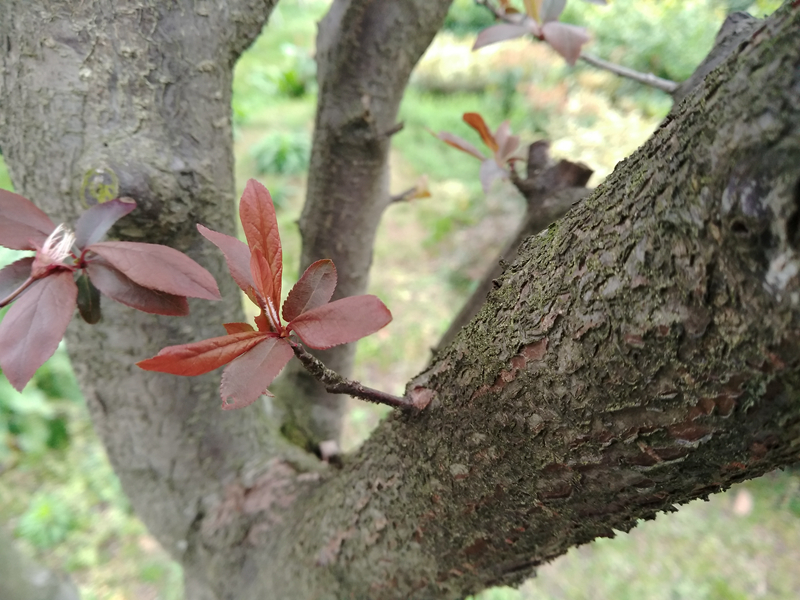 360新款手机n5深度评测,测评360n5