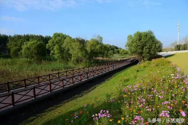 免费公园南京,南京十大公园排行榜