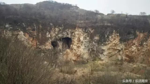 免费公园南京,南京十大公园排行榜