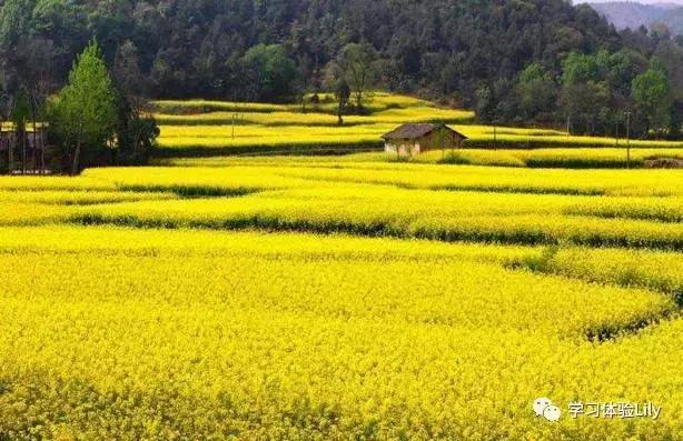 用英语问wifi密码,英语如何问wifi密码