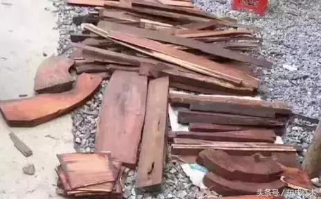 大红酸枝几年成材,大红酸枝10年后至少涨30倍