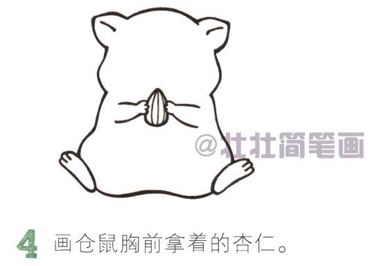 画小仓鼠的教程简单又漂亮,仓鼠玩耍的简笔画