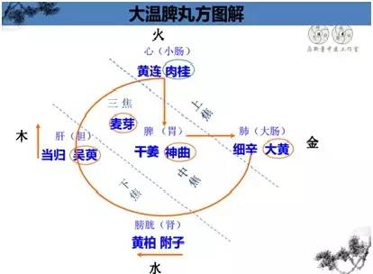 中医马新童医术怎么样,中医专家马新童