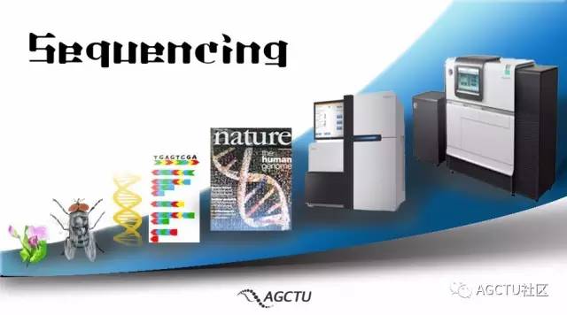 下一代测序技术原理,测序的原理