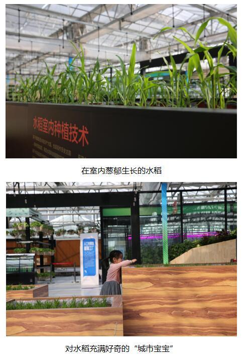 科技助力北京农业嘉年华中环易达实现社区田园梦